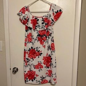 I am selling a greta dress from rainbow in a size large.